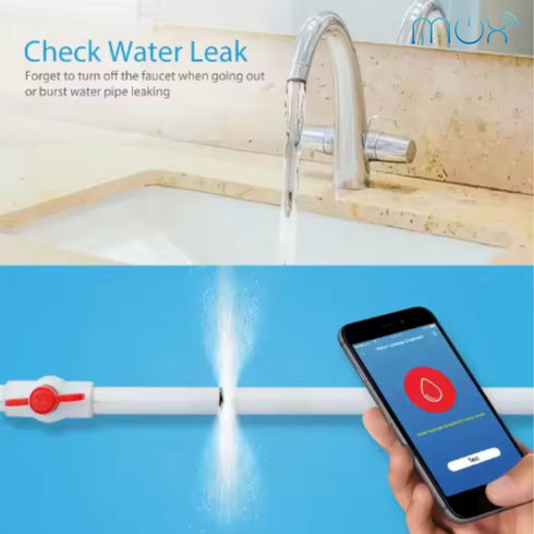Smart Water Valve and Flow Meter